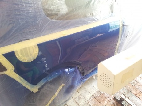 Paint repair by Auto Blemish Control